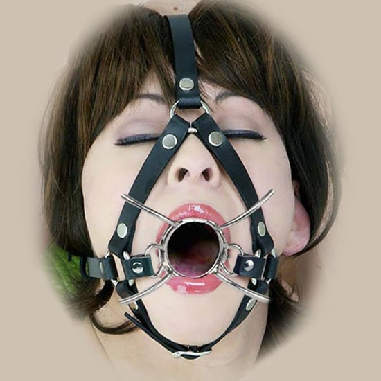 Spider harness gag