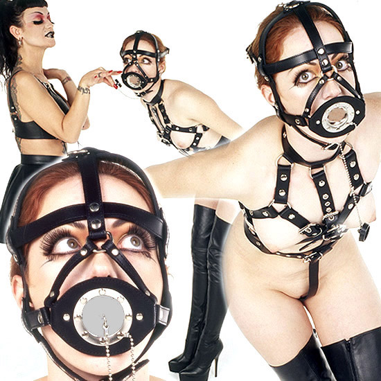 Sink plug harness gag