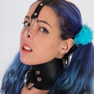 Nose hook
