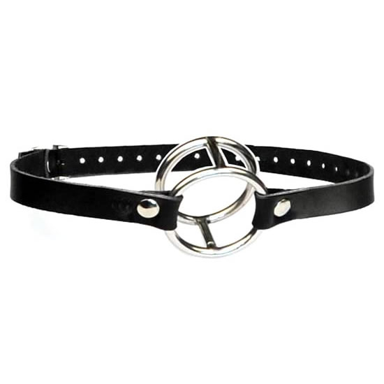 Double ring gag